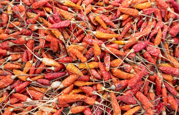 Close up di un mucchio di peperoncino rosso essiccato.