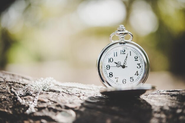 Close up di un orologio da tasca sul ramo di un albero fuori