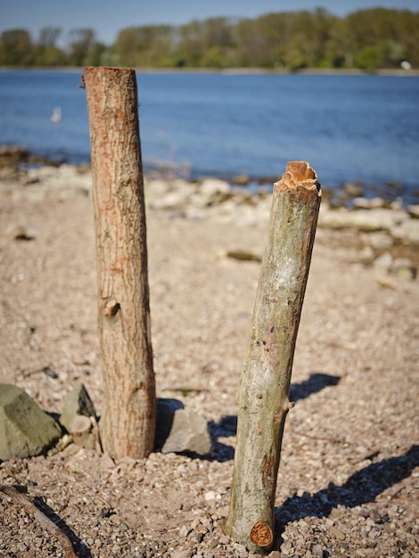 Close-up di un palo di legno sulla spiaggia