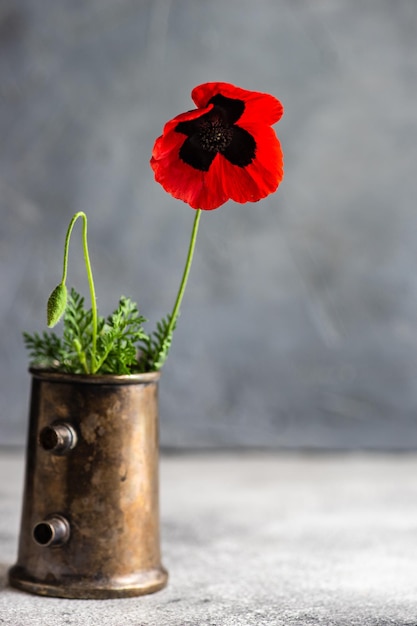 Close-up di un vaso di fiori rosso sul tavolo