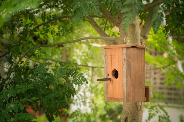 Close-up di una casa per uccelli sull'albero