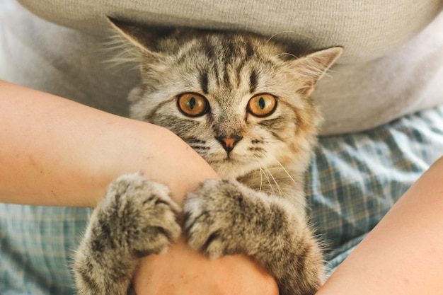 Close-up di una donna che tiene in braccio il suo gatto persiano