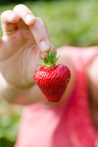 Close-up di una fragola in mano