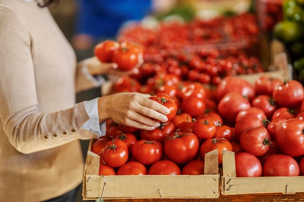 Close up di una mano che sceglie i pomodori al mercato degli agricoltori