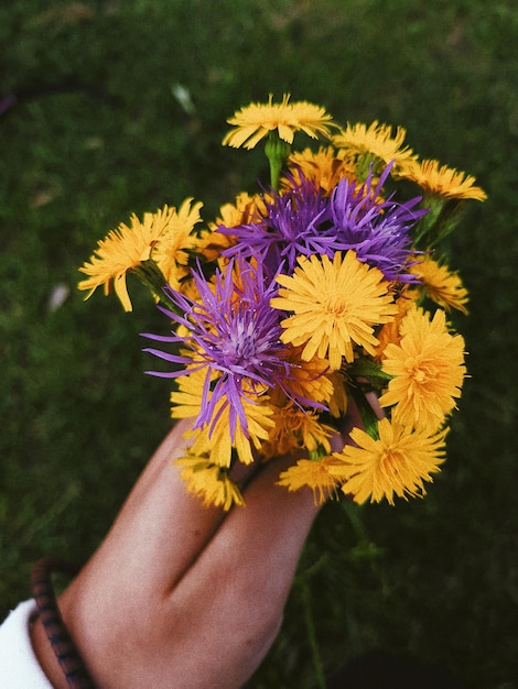 Close-up di una mano che tiene un fiore viola