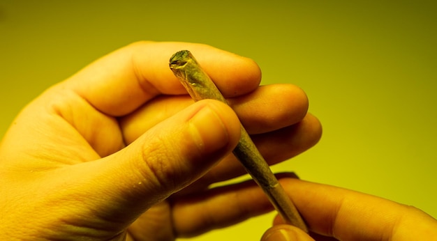 Close-up di una mano che tiene un joint di marijuana