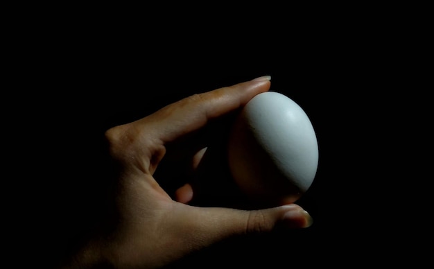 close-up di una mano che tiene un uovo bianco isolato su sfondo nero