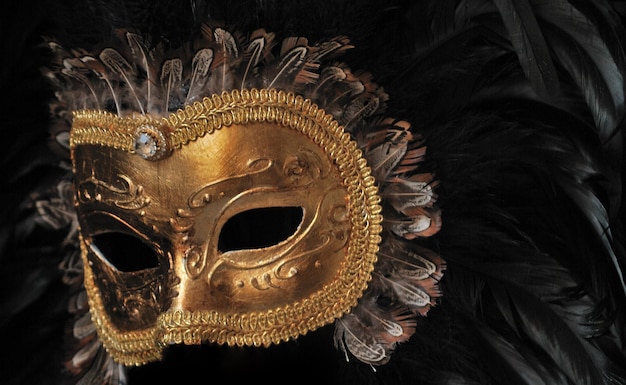 Close-up di una maschera di piume in camera oscura