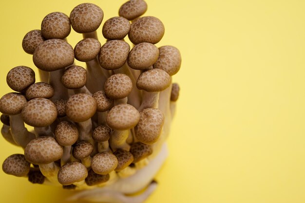 Close-up di una torta di cioccolato