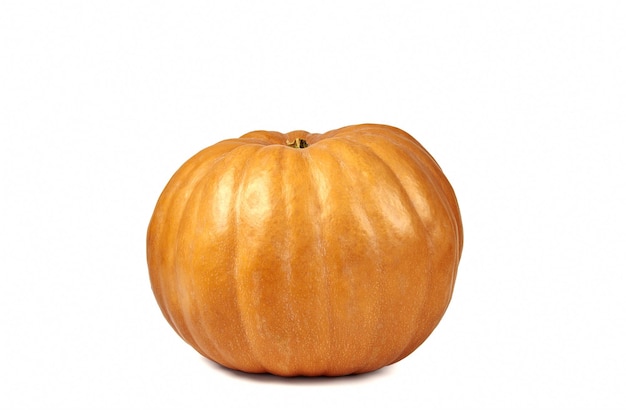 Close-up di una zucca su sfondo bianco