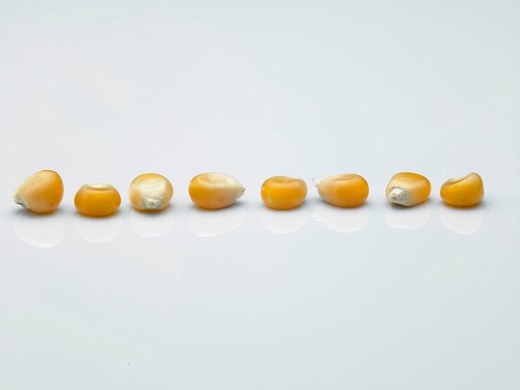 Photo close-up of corn kernels against white background