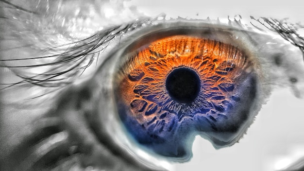 Close-up tanaman