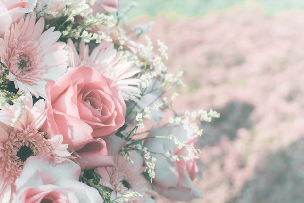 closeup background rose Luce naturale e colori pastello.