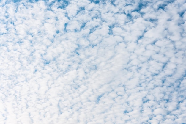 Cloudscape con nuvola di Altocumulus