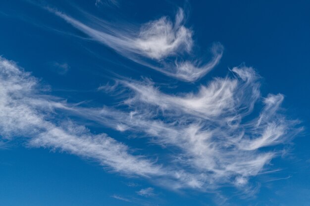 Cloudscape Nuvole bianche e grigie in un cielo blu. .