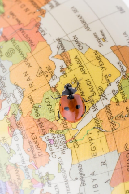 Coccinella su un piccolo mappamondo colorato