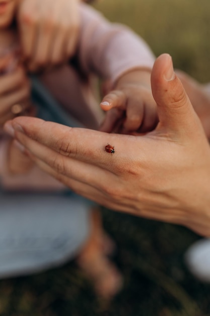 Coccinella sulla mano del papà e sulla mano del bambino che studia la natura e conosce il mondo circostante