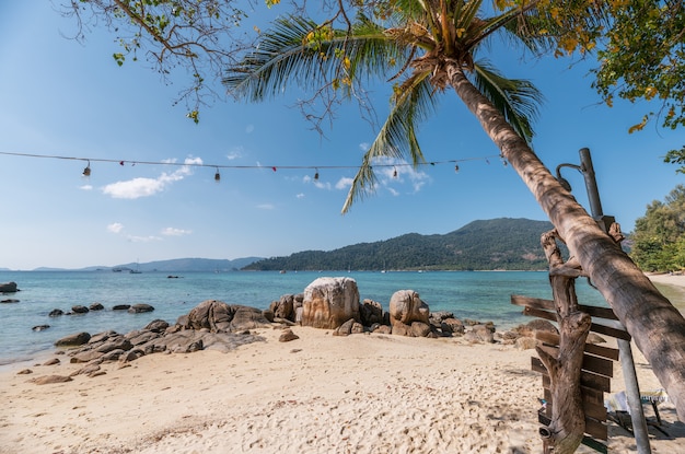 Cocco con decorazione della lampada sulla spiaggia di sabbia bianca