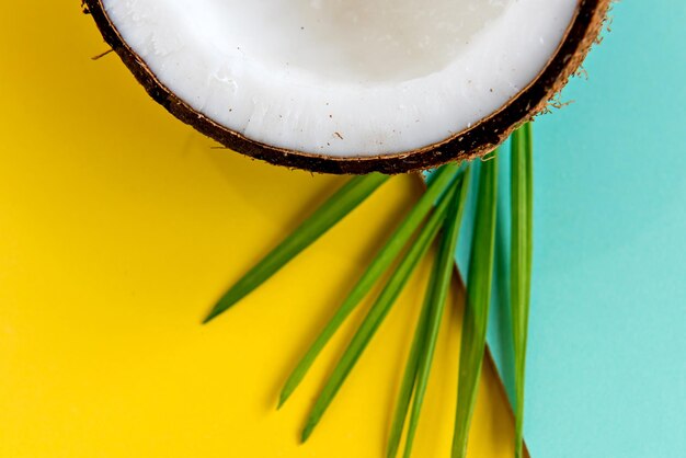 Cocco e foglie su sfondo giallo e verde