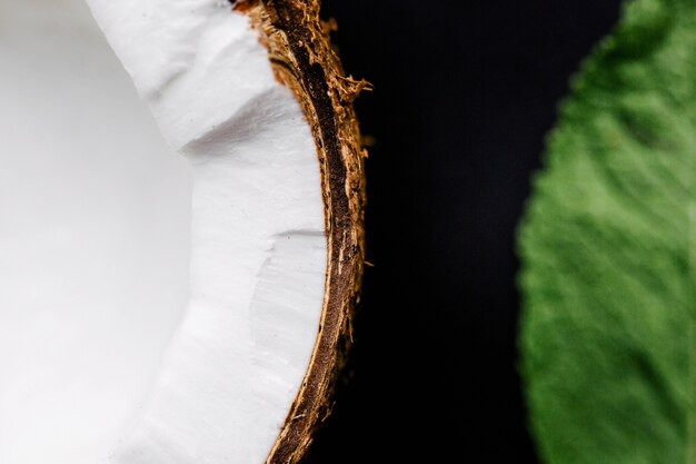 Cocco e una foglia di menta