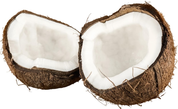 Cocco individuale