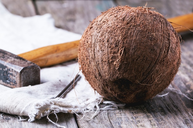 Cocco intero con martello