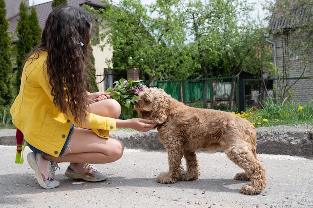 Cocker spaniel che cammina con una ragazza per strada.