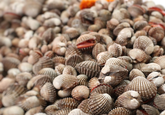 Cockle al cibo di strada