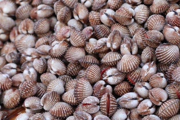 Cockles al cibo di strada