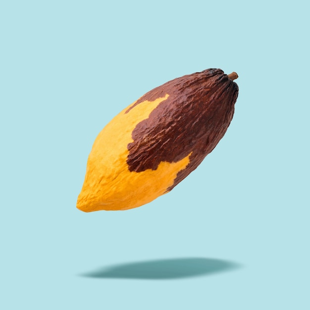 Cocoa pod