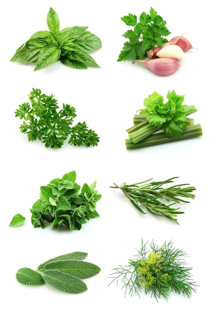 Collage di verde