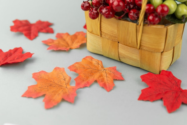 collage in stile autunnale con fiori, foglie su sfondo grigio chiaro con spazio libero per il testo