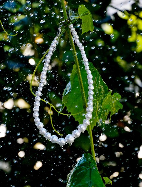 collana di perle con gocce d'acqua nella foto all'aperto