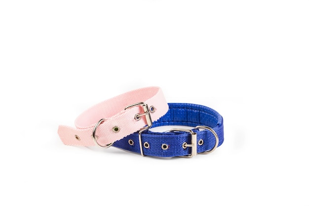 Collari per cani rosa e blu su sfondo bianco con spazio per la copia