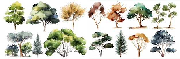 Collezione di alberi ad acquerello Set di alberi disegnati a mano Pacchetto di alberi forestali Ai generativo