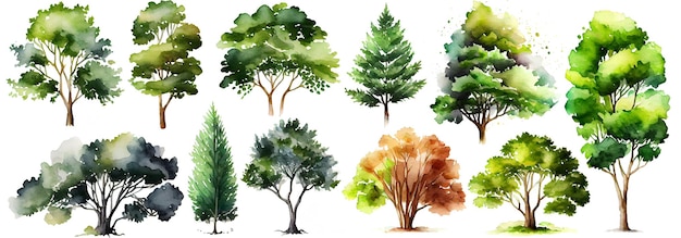 Collezione di alberi ad acquerello Set di alberi disegnati a mano Pacchetto di alberi forestali Ai generativo