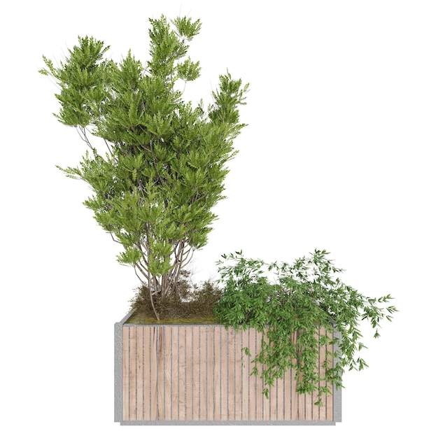 Collezione di alberi di modelli di rendering 3D