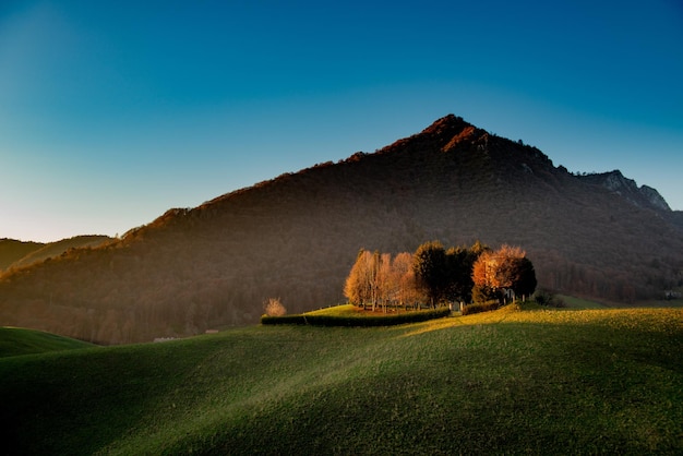 Collina al tramonto