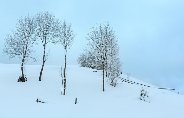 Collina dei Carpazi d'inverno