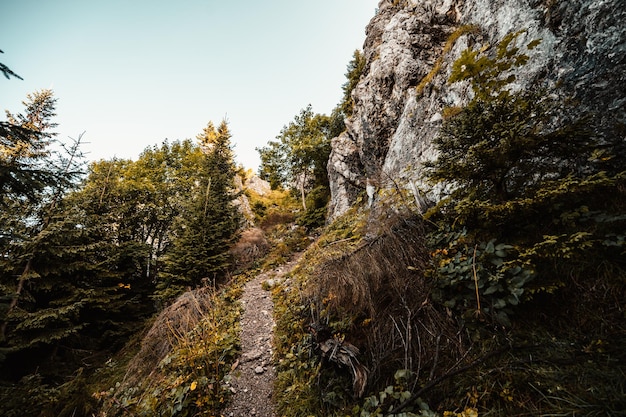 Collina Sivy Vrch e rocce chiamate Radove Skaly nei Tatra occidentali in Slovacchia Tatra occidentali in Slovacchia paesaggio montano