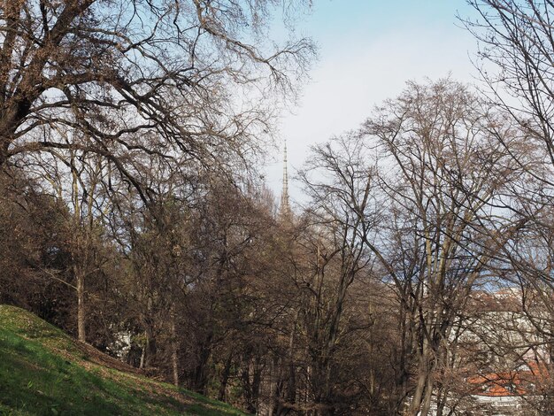 Colline a Torino