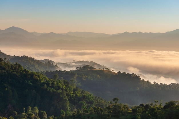 Colline dell'Himalaya nel paesaggio di alba della foschia