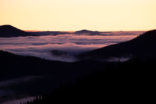 Colline di montagna scure lontane ricoperte da una fitta foresta di pini circondate da nuvole bianche e nebbiose all'alba.