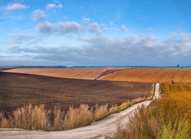 Colline di terreno agricolo in autunno, terreno arato e campo di soia con una strada di pietra