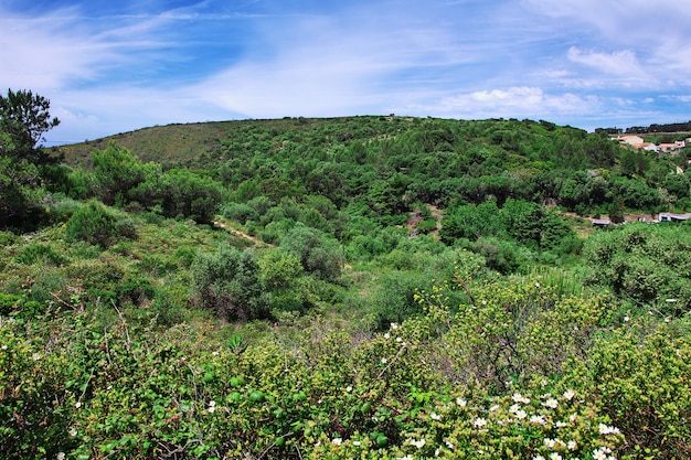 Colline e valli in Portogallo