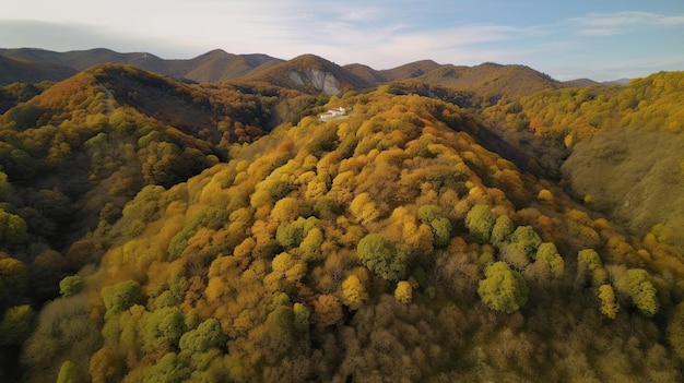 Colline in autunno con foglie arancioni e gialle generative aeree ai