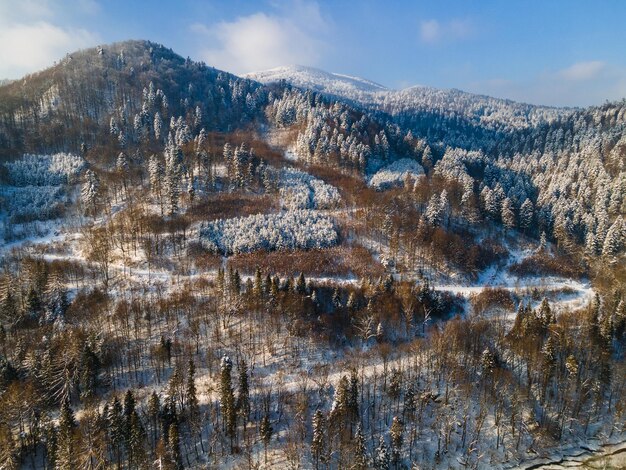 Colline innevate e montagne nel Parco Bieszczady in Polonia alla vista aerea del drone della stagione invernale