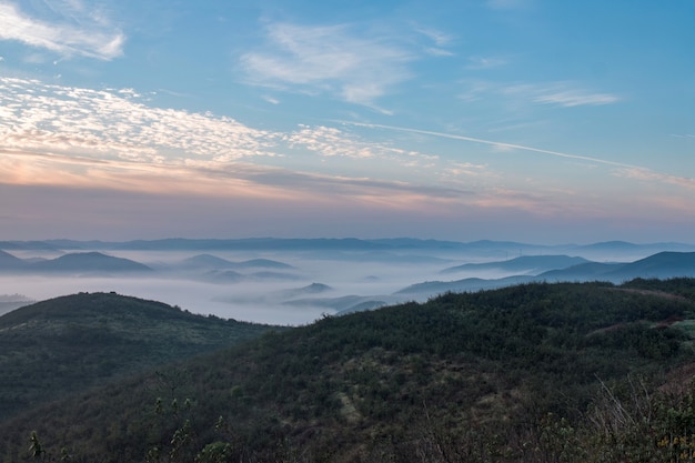 Colline nebbiose al mattino