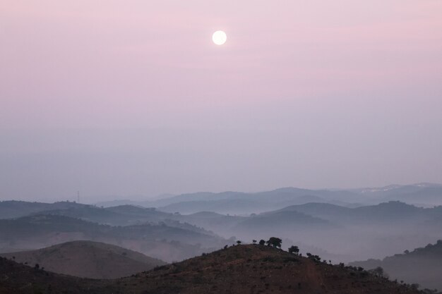 Colline nebbiose al mattino