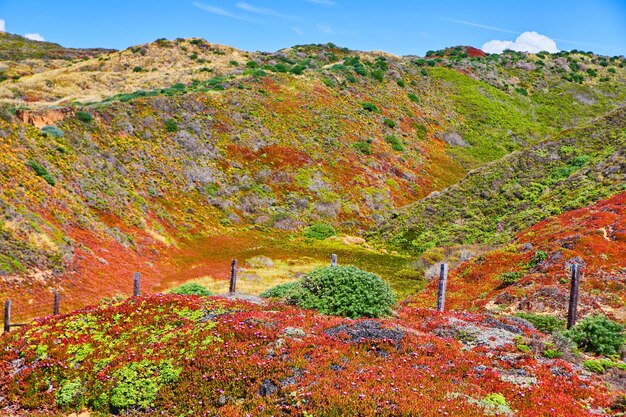 Colline ricoperte di coloratissimi colori primaverili verdi e rossi con recinzione